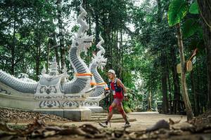 BIB: 
                            <button type="button" onclick="openModal(26053846)" class="btn btn-primary btn-sm float-right btn-popup" data-toggle="modal" data-target=".modal-high-quality">
                        <i class="fas fa-shopping-cart"></i> Add to Cart
                    </button>
                                            <button type="button" onclick="isThisMe(26053846, true)" class="btn btn-success btn-sm float-right btn-popup btn-isme hidden" data-toggle="tooltip" data-placement="bottom" title="นี่คือรูปของคุณใช่ไหม คลิกที่นี่เพื่อเอาเข้าอัลบั้ม">
                        <i class="fas fa-plus"></i> Add to album
                    </button>
                    <button type="button" onclick="isThisMe(26053846, false)" class="btn btn-warning btn-sm float-right btn-popup btn-isnotme hidden">
                        <i class="fas fa-ban"></i> Remove from album
                    </button>